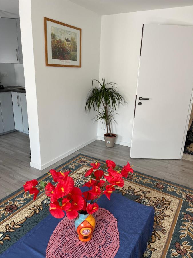 Maison Neuve Chaleureuse Pour 1 A 4 Personnes Schiltigheim Exterior foto