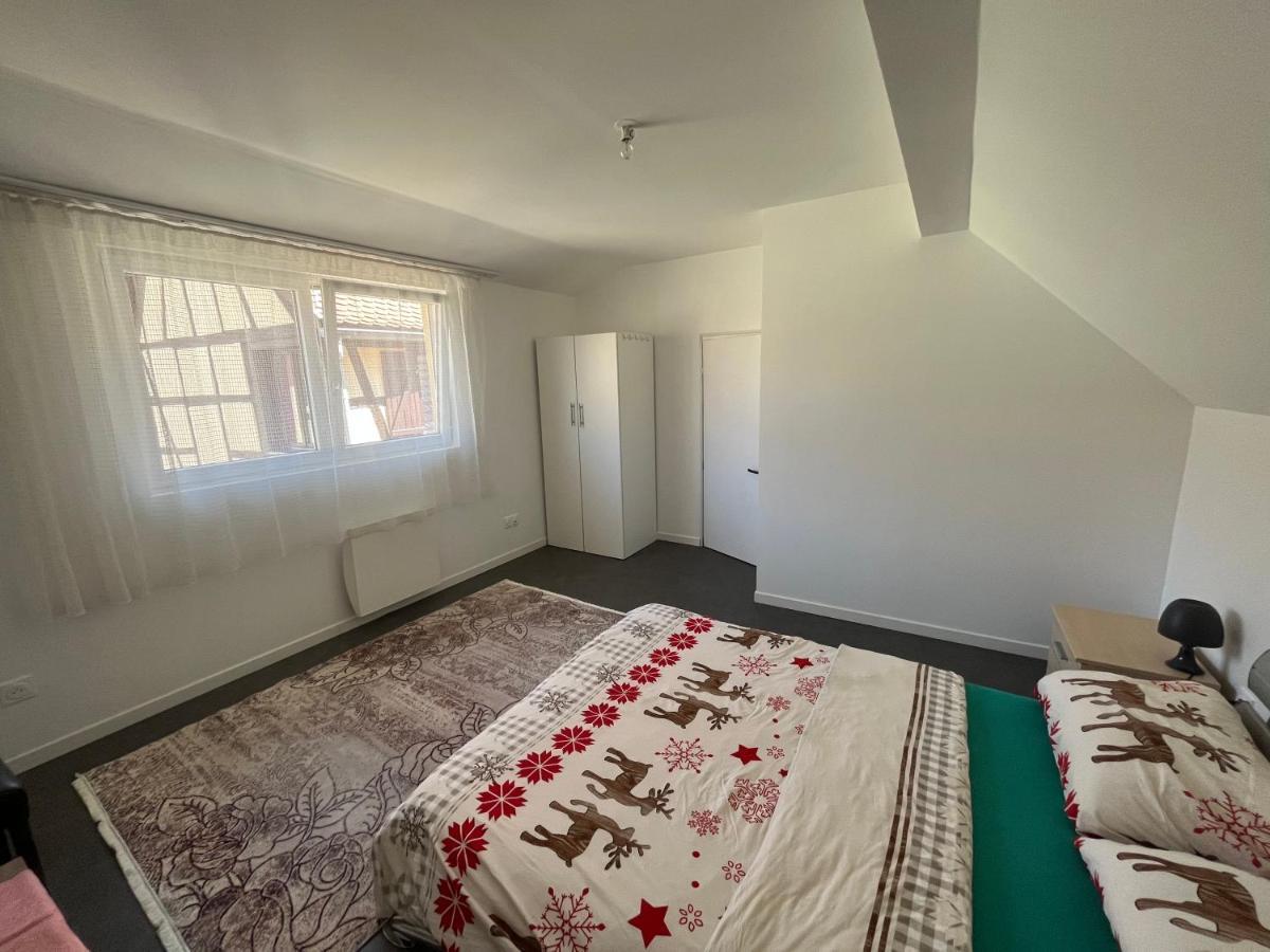Maison Neuve Chaleureuse Pour 1 A 4 Personnes Schiltigheim Exterior foto