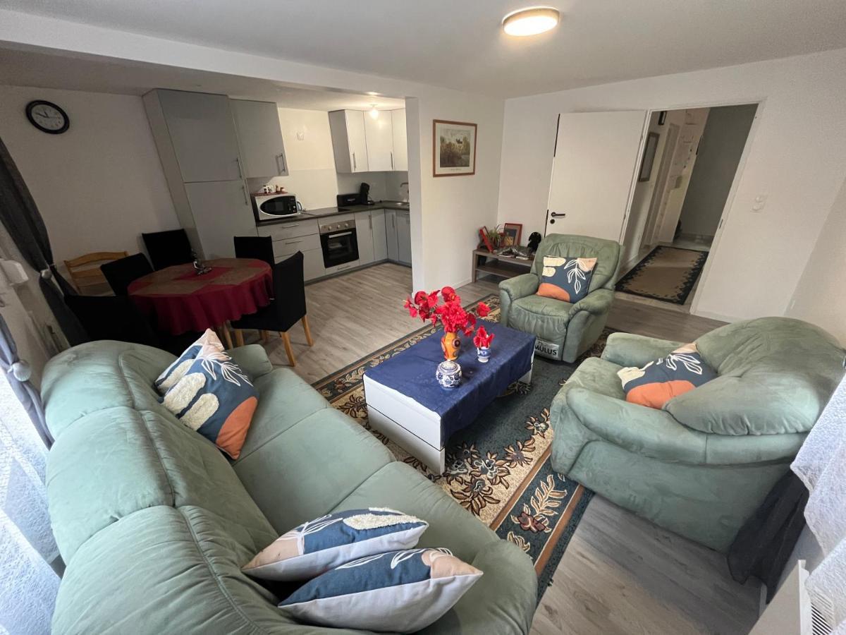 Maison Neuve Chaleureuse Pour 1 A 4 Personnes Schiltigheim Exterior foto